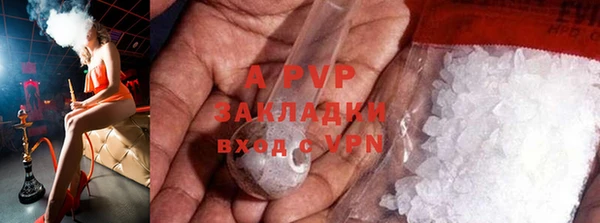 амф Архангельск