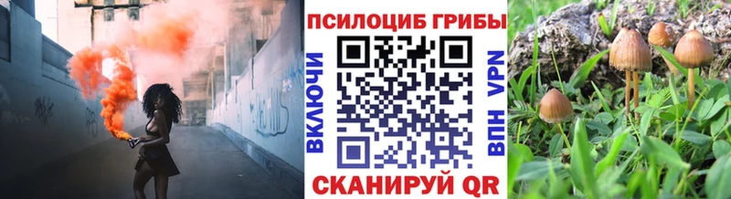 Галлюциногенные грибы Magic Shrooms  Елизаветинская 
