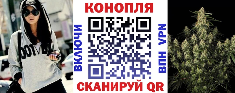 Бошки Шишки Ganja  Елизаветинская 